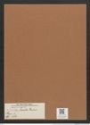 Navicula lauta Grun. (de-Toni-Nr.: Genus 1, Species 684) Zeichnungen Sammlung Grunow Mappe 00577 (Herbarium_W_Grunow_drawings_Folder_00577)